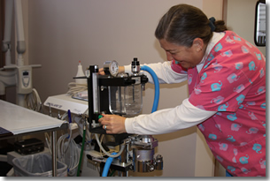 Beth Romano in the new Meridian Animal Hospital Surgery
