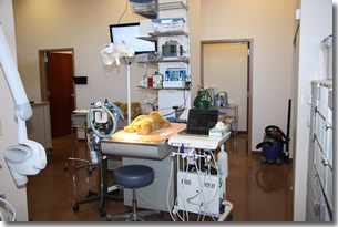 Pet Dental Services at Meridian Animal Hospital in Parker, Colorado
