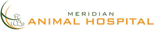 Meridian Animal Hospital in Parker and Englewood Colorado Meridian Animal Hospital