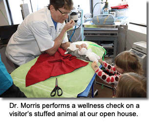 Dr. Morris performed a 'stuffed animal wellness exam' during Meridian Animal Hospital's February 2013 open house