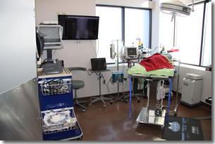 Small animal surgery facilities in Parker and Meridian Colorado